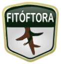 Fitóftora Fitóftora